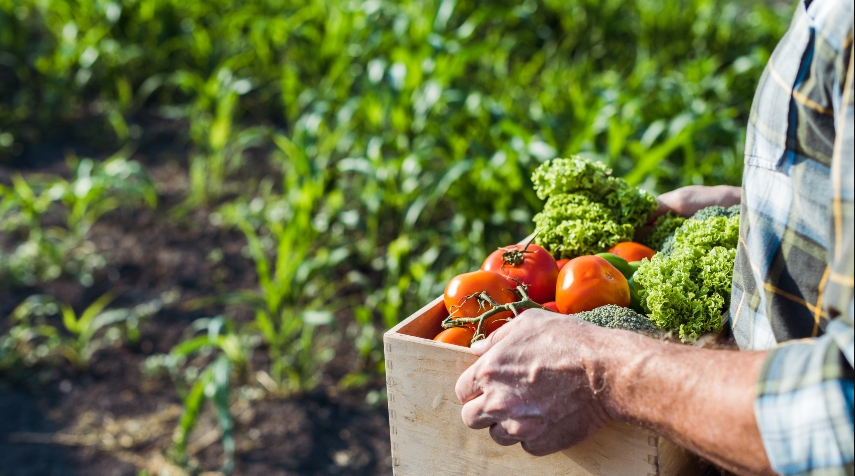 Producao Sustentavel